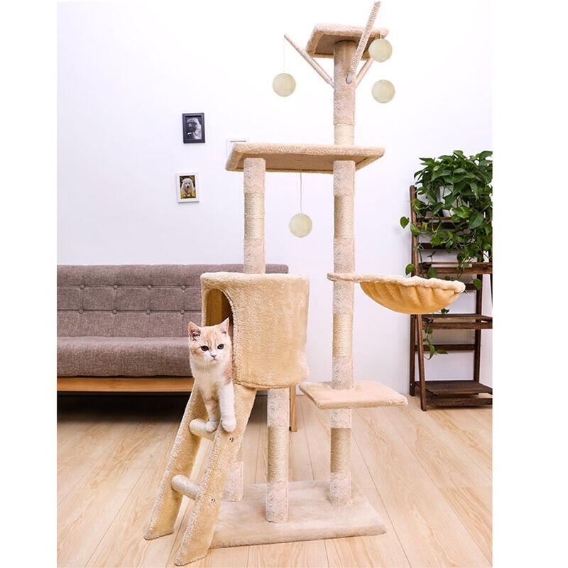 Yun Xiaoshi 5-Layer Cat Tree & Condo