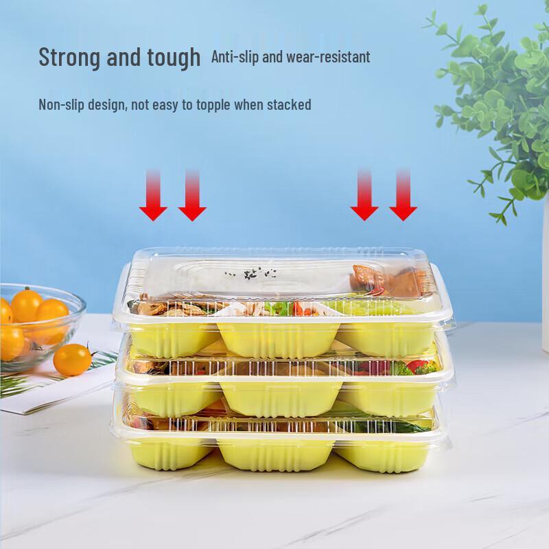 NHZHIW Einweg-Mittagessensboxen mit 5 Fächern