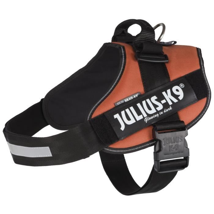 JULIUS-K9 Harnais Power IDC - 3 - XL : 82-115 cm-50 mm - Orange cuivré - Pour chien