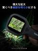 TOMLOV Micro Handheld Fixed 20X Coin Digital USB PC Mini Perfect for and Currency Biological Independent Biology Coin Japanese Language Easy To P10