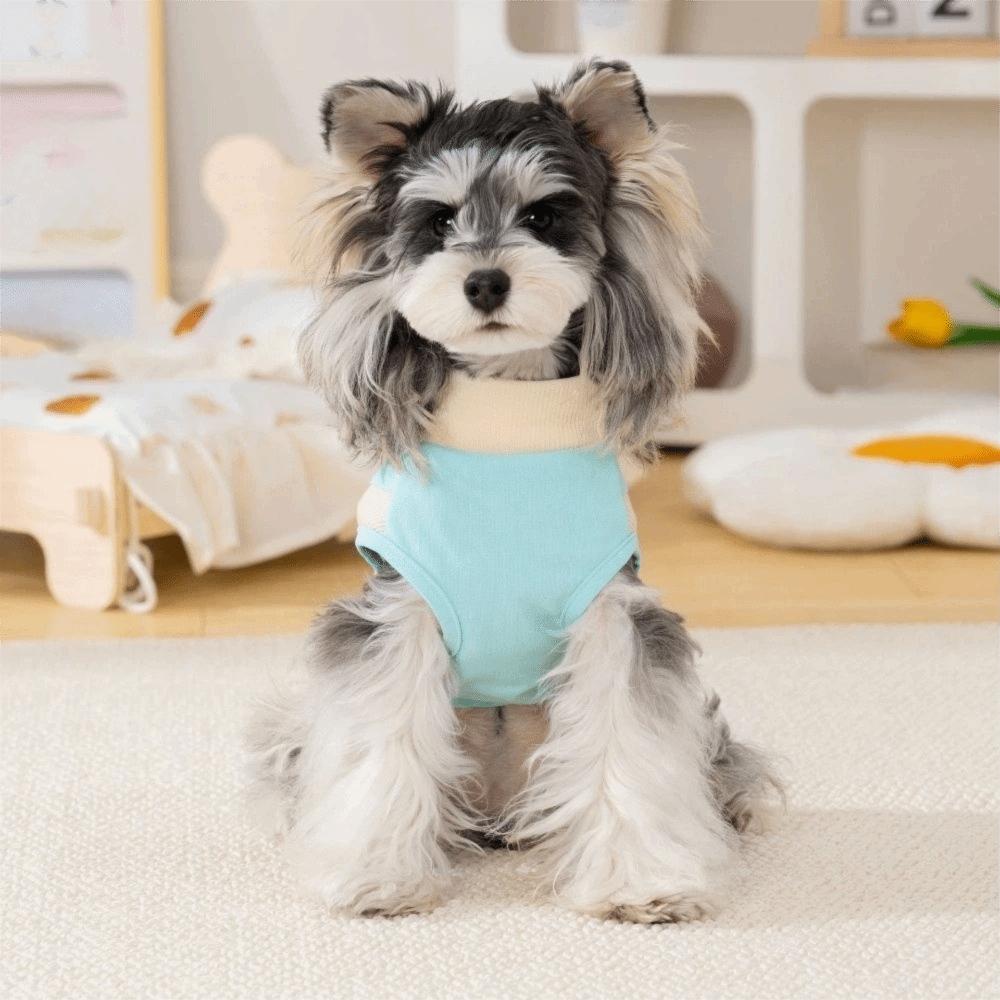 Super dehnweste für Hundesport Atmungsaktives Netz Farbblockiertes Haustier-T-Shirt Weiches Schnell trocknendes Kurzes Haustierhemd Outdoor-Aktivitäten
