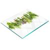 Glass Kitchen Serving Board with Herbal Twine Graphic 60X52 Cm