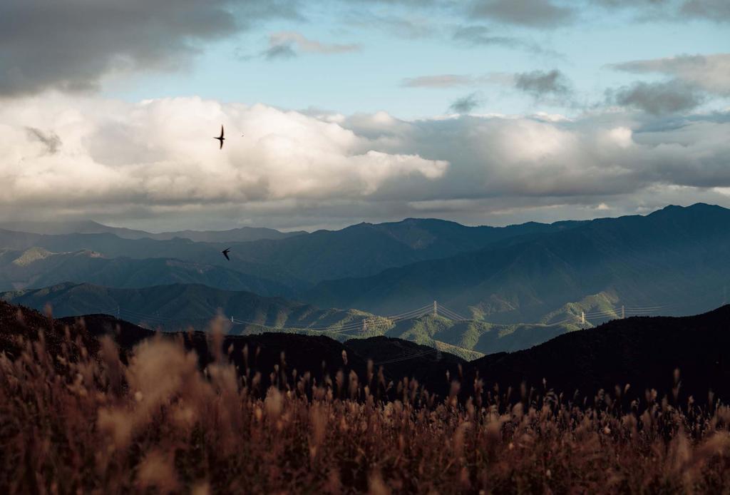 Shinya Takahashi fotoksiążka nietrwałość