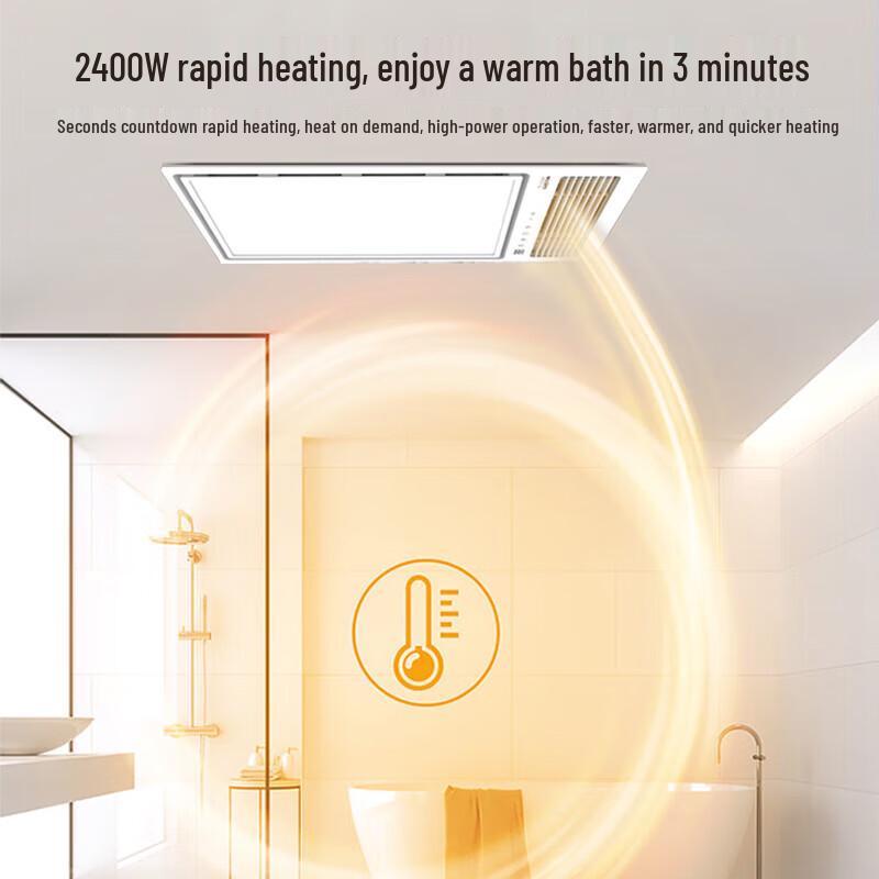 MICOE Graphene Ceiling Mount Bathroom Heater