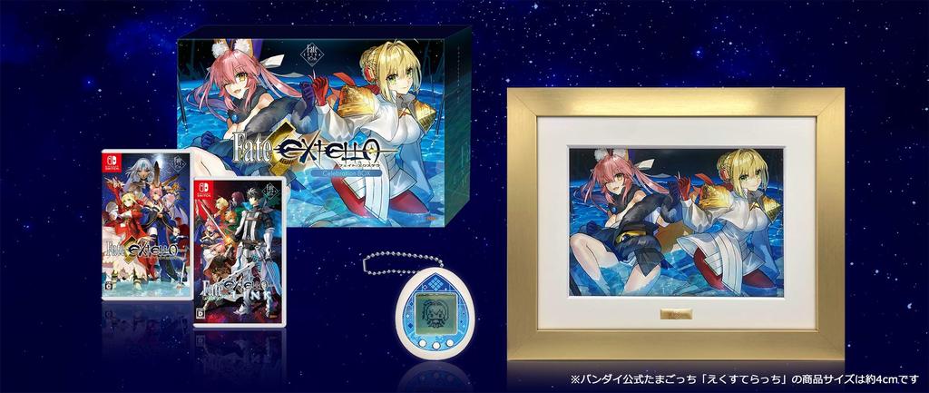 Celebration BOX for Nintendo Switch Fate/EXTELLA -Switch