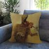 Z-Zdzislawbeksinskis Art 45*45Cm Cushion Cover Pillow Cover Decor Pillowcase Home Pillowcase For Couch Pillow