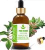 Pure Herbs Amyris (Amyris Balsamifera) Pure & Natural Therapeutic Grade Essential Oil Glass