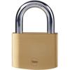 Brass Padlock - - Y110B/60/132/1 - 60 Mm - Hardened Steel Shackle - 3 Keys - For Access Hatches, Chains, Ladders, Gates