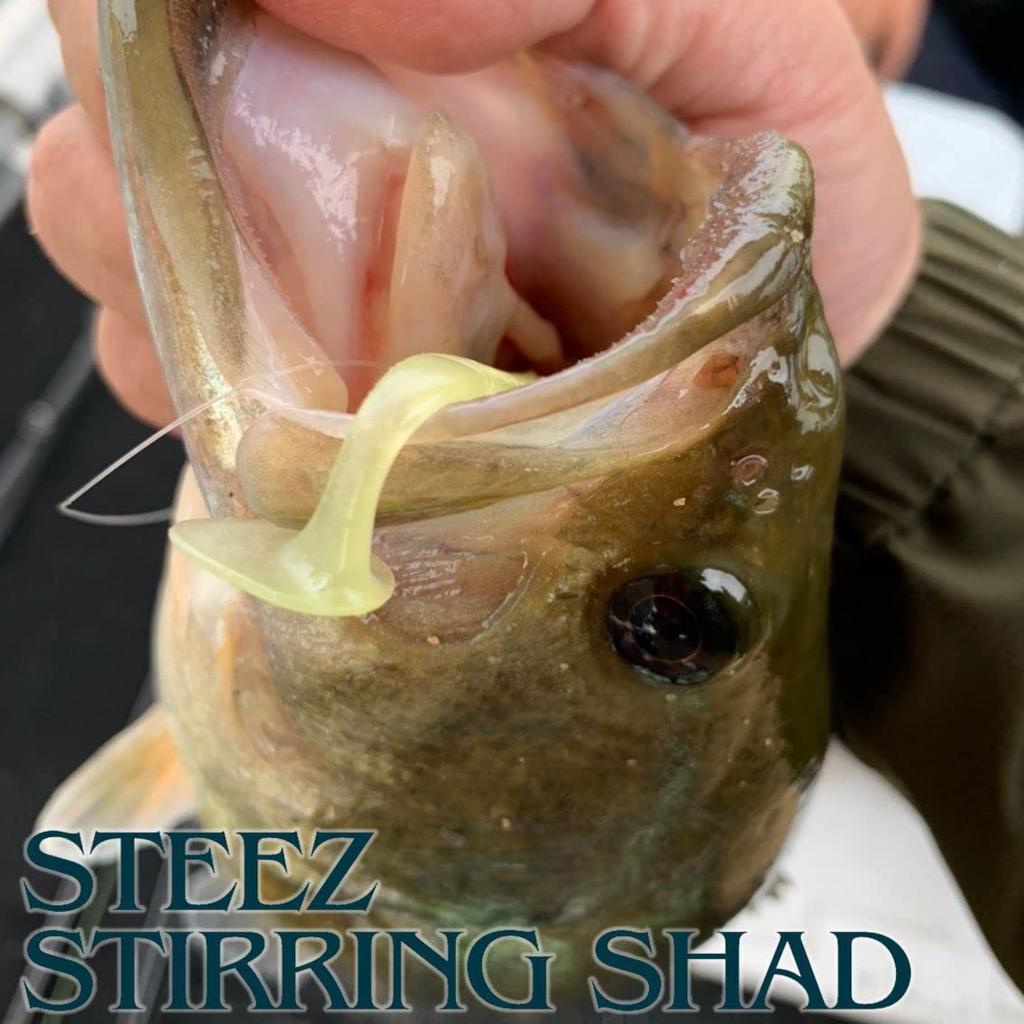 Daiwa Steez Sterling Shad Magic S Bass Lure 2.8