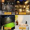 LED Clip Light Spotlight, Daylight White, Waterproof, 7W (equivalent to 60W), Switchless, 3m Cord, 360° Rotation, Plug-in Type, Strong Spring, Desk La