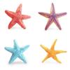 Marine Animal Model Pvc Toy For Childrens Educational Aquarium Decor