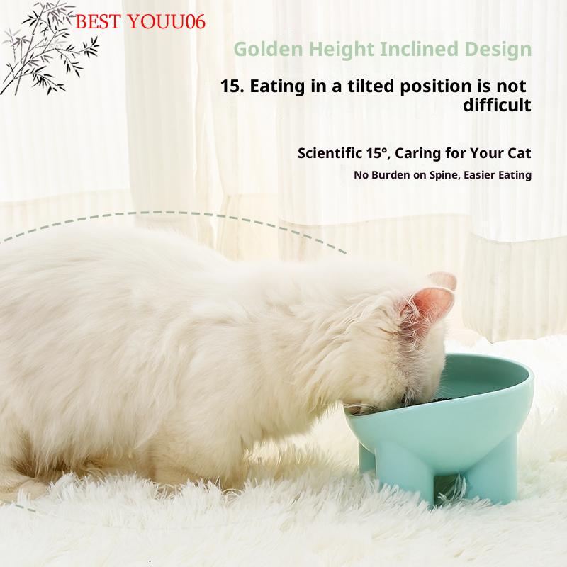 (YOUU06)Elevated Cat Bowl With Stand Durable Plastic Pet Food Water Dish Sleek Modern Neck-Friendly Feeding For Cat Dog