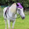 Horse Ears Cover Breathable Mesh Horse Earmuffs Horse Ear Mesh Cover, Breathable Horse Ears Protections Shield Supplies