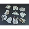 267Cts. Natural Wild horse Jasper Fancy Cabochon Loose Gemstone 10Pair Lot C-1472