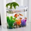 Transparent Micro Landscape Ecological Fish Turtle Tank Hydroponics Aquaponic Planter Breeding Box Aquariums Table Decoration