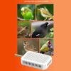 Durability Metal Warming Perches For Parrots With Anti Chew And Smarted Temperature Control For Bird Cages