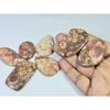 450Cts. Natural Bird Eye Jasper Mix Shape Cabochon Loose Gemstone 07Pcs Lot C-1912