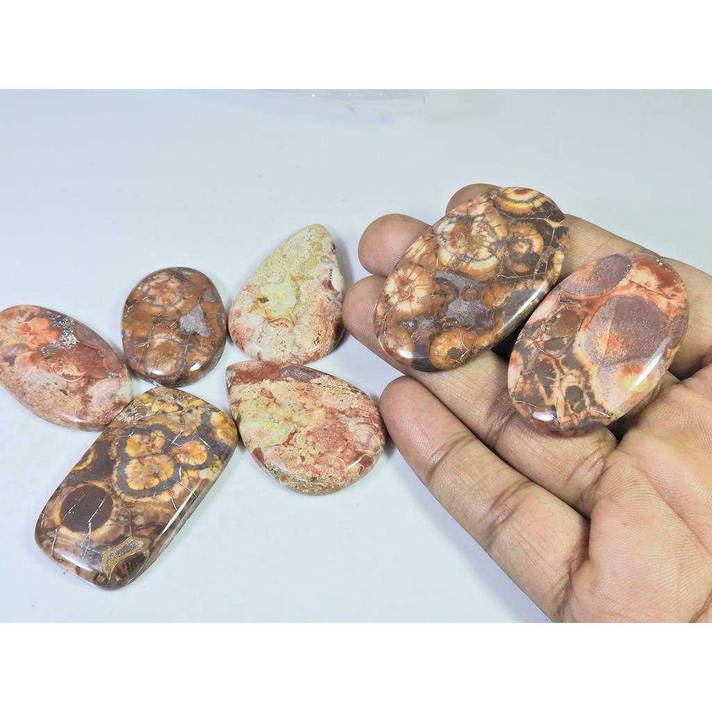 450Cts. Natural Bird Eye Jasper Mix Shape Cabochon Loose Gemstone 07Pcs Lot C-1912