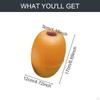 Kayak Anchor Float Buoy Rope Ball Water for Trail Swimming