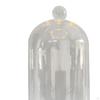 Clear Glass Cloche Dome Bell Jar Dustproof Display Case Flower Cover with Wooden Base