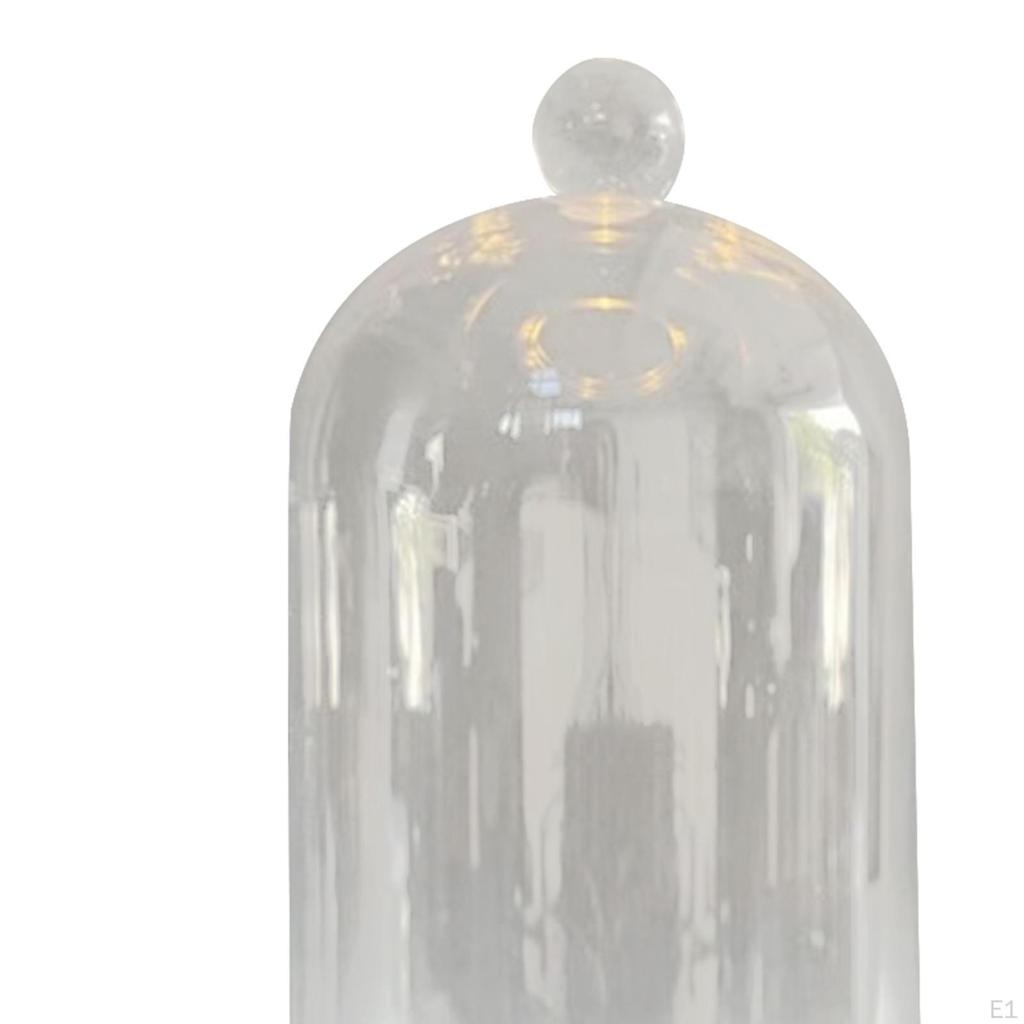 Clear Glass Cloche Dome Bell Jar Dustproof Display Case Flower Cover with Wooden Base
