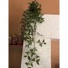 Home Artificial Vine;Pine;Fern;Ivy Plants with Pot Natural Look & Plastic Material  with Small Size Pot Size 27 X 75 X 7 Cm, Pack of 1 (Green)