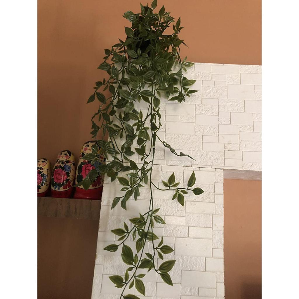 Home Artificial Vine;Pine;Fern;Ivy Plants with Pot Natural Look & Plastic Material  with Small Size Pot Size 27 X 75 X 7 Cm, Pack of 1 (Green)