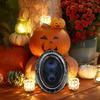Haunted Mirror Motion Halloween Princess Magic Mirror Activated Creepy Sound Luminous Portrait Prop Halloween Hanging Ornament
