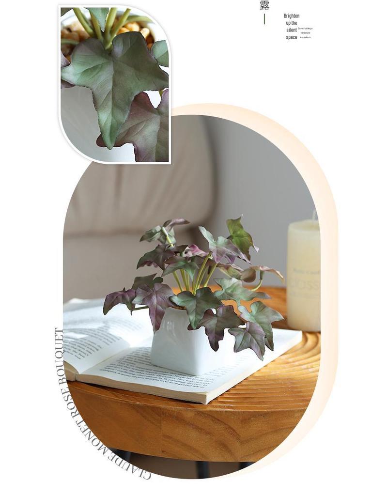 Miniature Succulent Bonsai Desk Ornament: Green Plant Props for Home or Office Decor