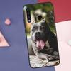 Pit Bull Lovely Dog Pitbull Case For Huawei Nova Y60 Y90 Y70 Y61 Y91 Y72 Y73 12s 12i 11i 8i 9 10 SE P30 P40 Lite P60 Pro