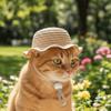Adjustable Pet Straw Hat Breathable Pet Sunshade Hat Fashion Dog Fisherman Hat  Photography Props