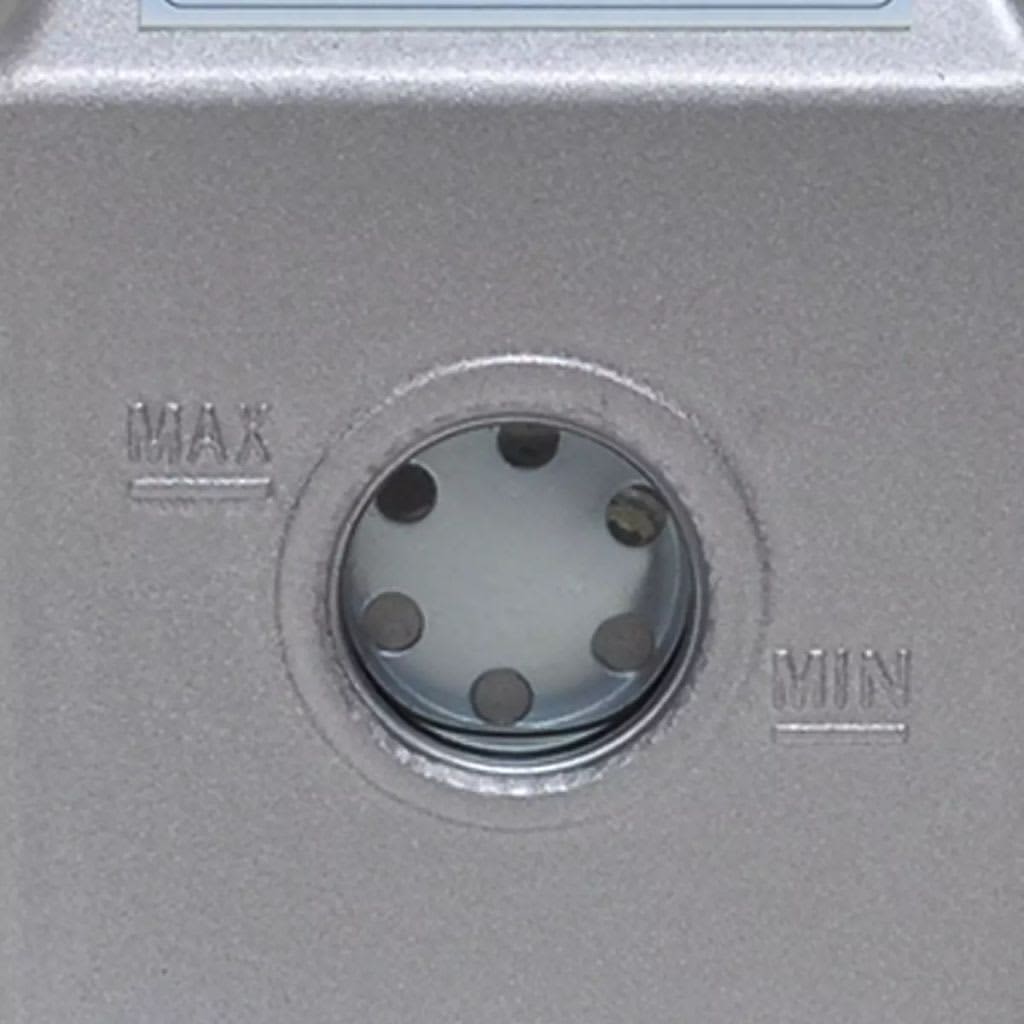 Vidaxl Vacuum Pump, 50 L/Min, With Gauges And 2 Valves