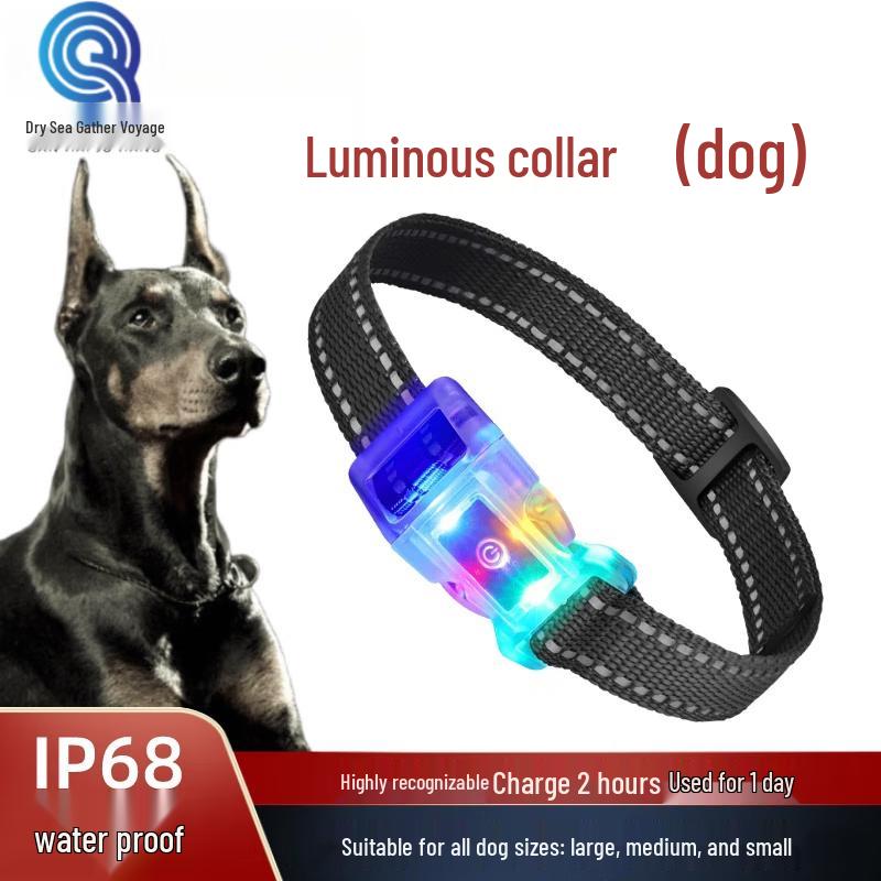 Outdoor Dog Training & Safety Devices