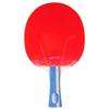 Raquette de tennis de table YINHE 5 étoiles Shakehand