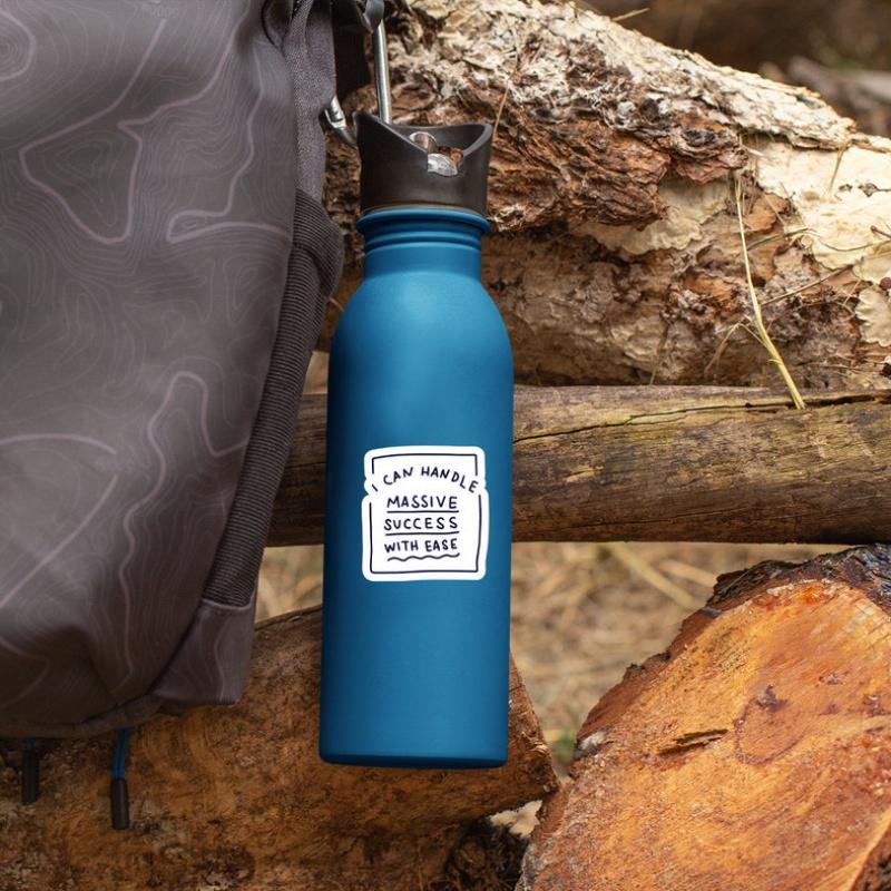 I can Handle massive success stickers, motivational stickers, funny inspirational for Water Bottles, tumbler stickers, laptop sticker