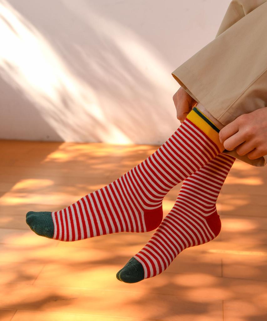 PIGMENT Color Day Socks (Kso260124)