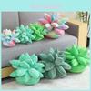 Cozy Plush Succulent Plant Stuff Toys Pillow For Adorable Home Decor And Gifts