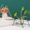 Ornament Plants Frame Terrarium Metal Holder Glass Planter Iron Geometric Pattern Hydroponic Vase