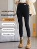 Women's High-Waisted Cotton-Feel Base Layer Pants - Cold-Resistant, Warm, No-Sag, Tight-Fitting, New Style