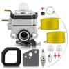 Vergaser für Craftsman 41AS4ESG799 316794610 316794710 316794711 Rep 753-05908