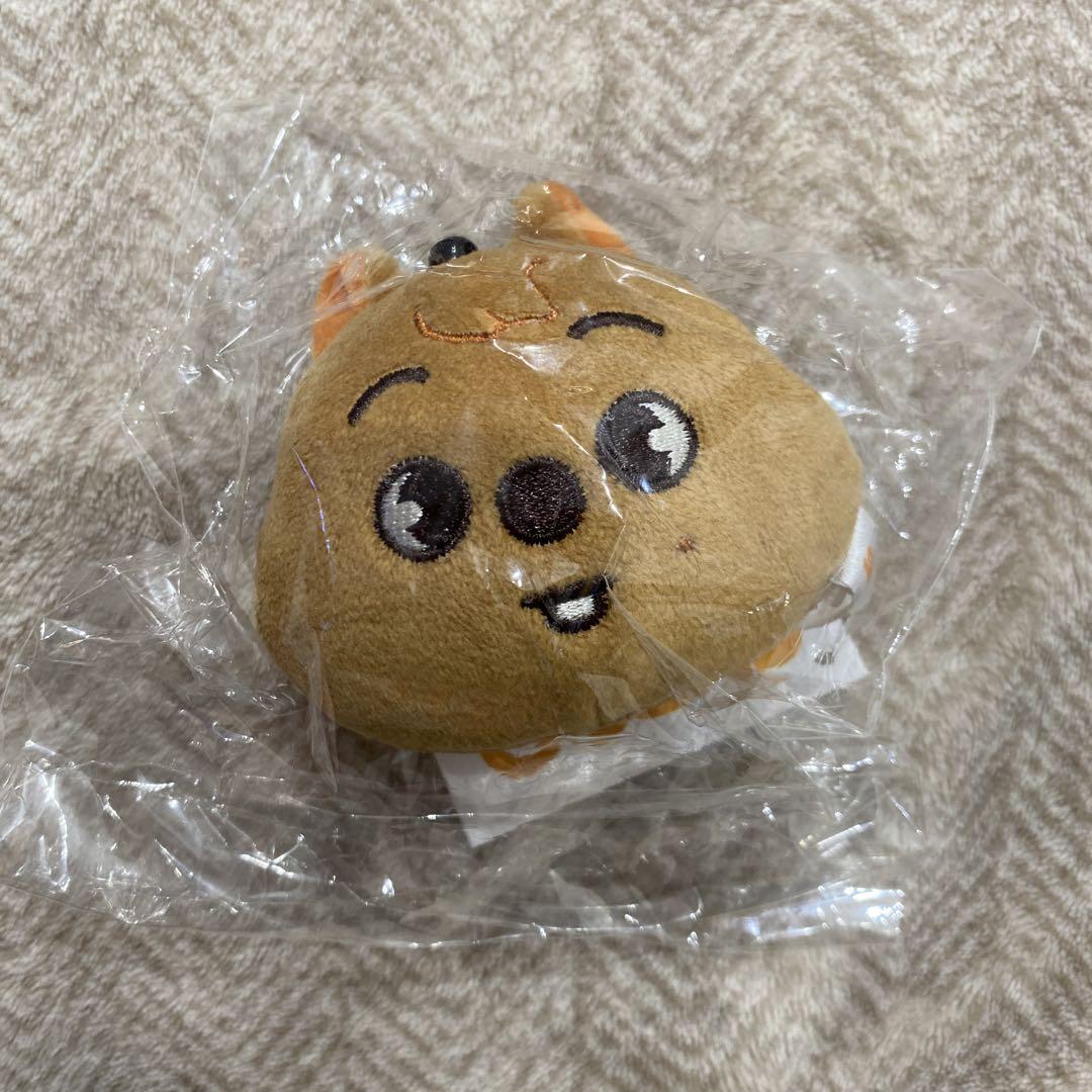 

[Б/У] StrayKids Хан Квокка Мини Брелок для лица SKZOO