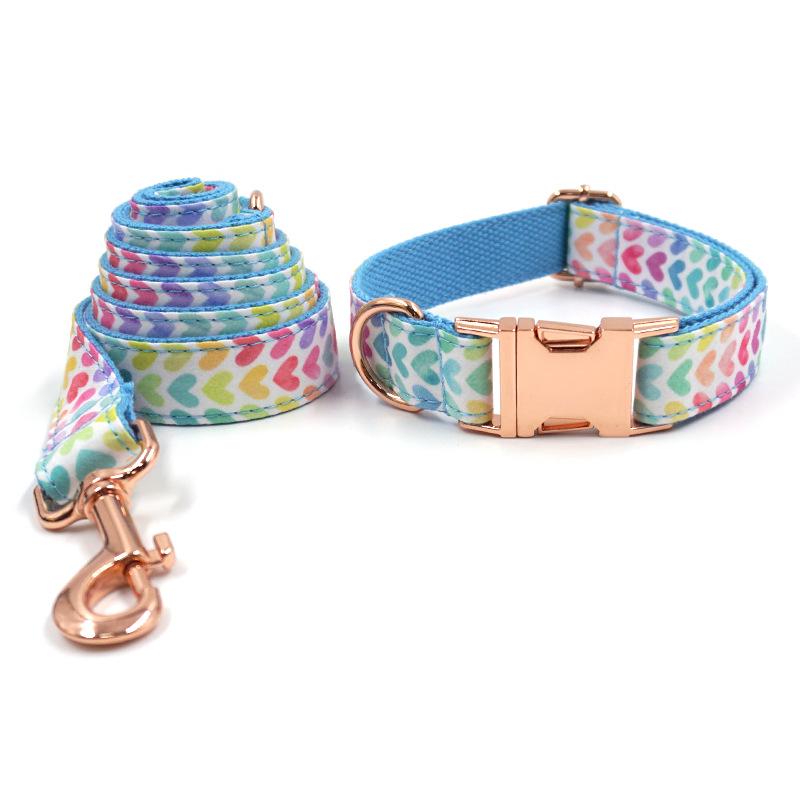 Fashionable Engravable Dog Collar & Leash - INS Style Extra Large