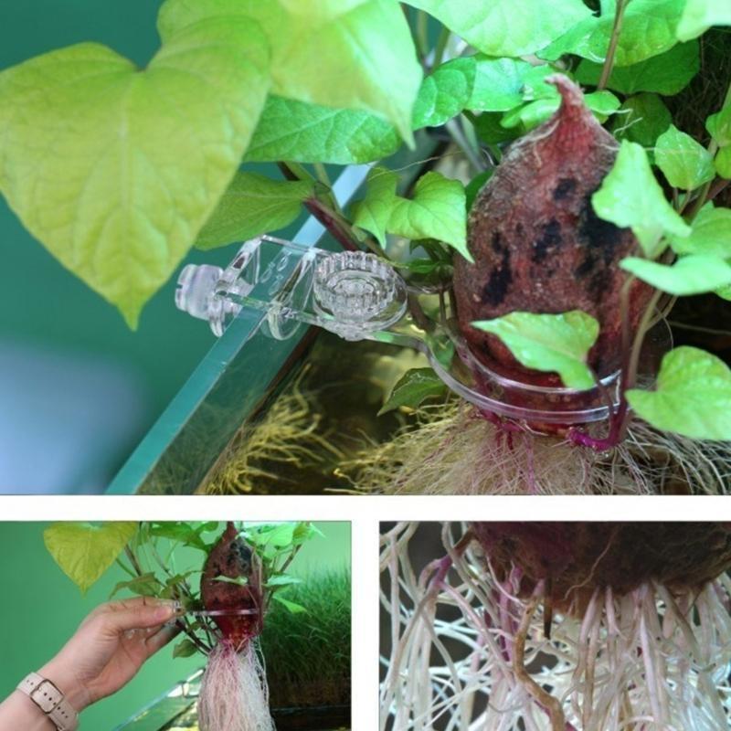 Support de Plante pour Aquarium Suspendu pour Plante Culture de Plantes Aquaponiques