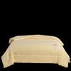 JLY-B24-82 Antibacterial Super Soft Soy Fiber Quilt
