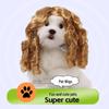 Universal Pet Wigs for Cats & Dogs: Fun, Wavy, Curly, Role-Playing Hair Accessories