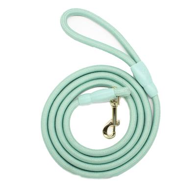 Hunde – Hundeliner og halsbånd