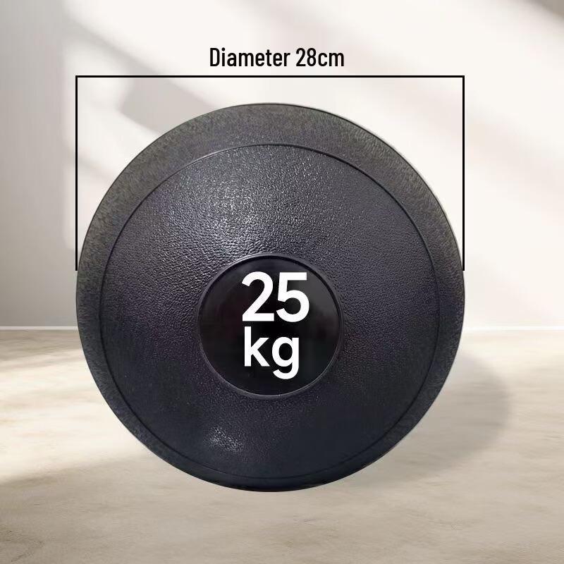 LIONFIT Weighted Training Sand Ball