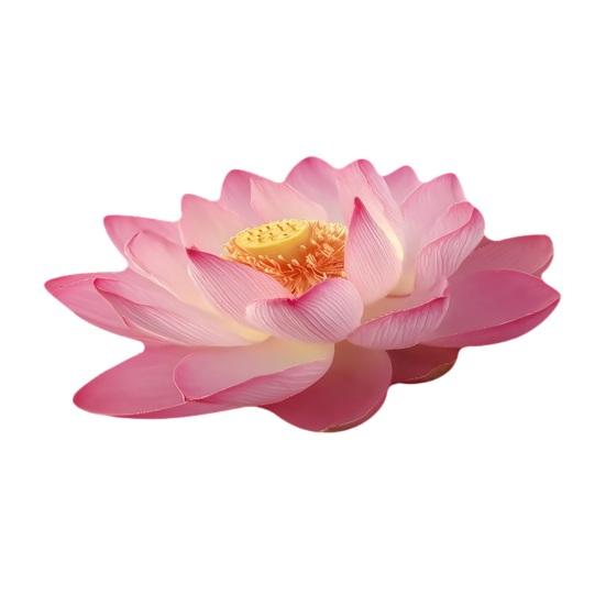 3D Flower Floor Mat Realistic Rose Lotus Area Rug Anti-Slip Decorative Flower Bathroom Rug for Living Room Bedroom Kitchen