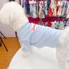 Kæledyr Sommer T-shirt Flæse Kortærmet Sød Hundetøj til Katte Små Mellemstore Hunde Åndbar Sommer Kæledyrs Outfits