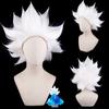 Sky Light Awaits Parrucca Personaggio Anime Cartone Animato Cosplay Lolita Capelli Bianchi Figli della Luce Daleth Costume di Halloween